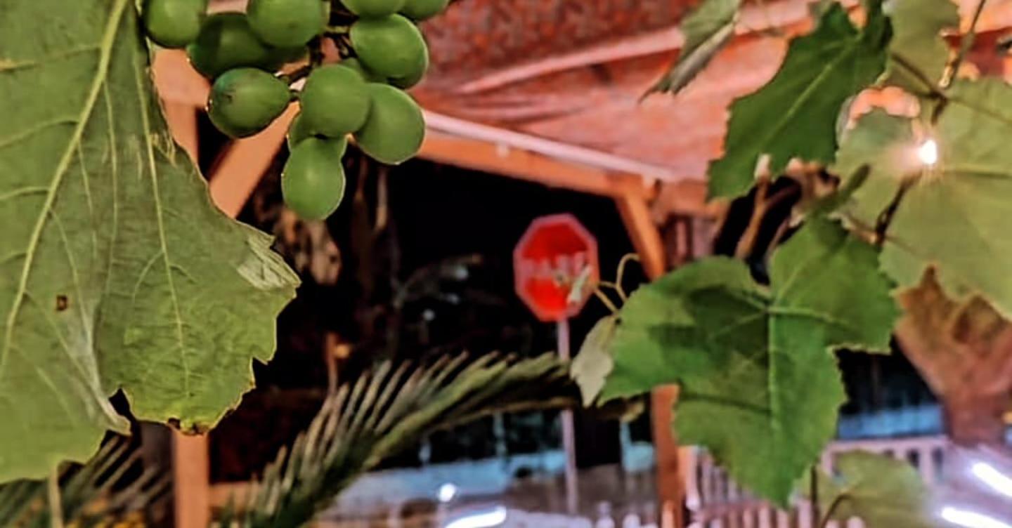 Hostel Vento Leste Бомбиньяс Экстерьер фото